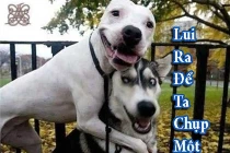 Ảnh chế khi động vật tỏ ra “nguy hiểm” (P20)