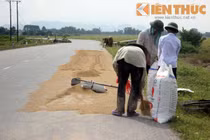 Dân Hà Nội ngang nhiên biến đường thành sân nhà... phơi thóc