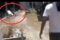 Gái trẻ cưỡi xe máy... đâm thẳng cột nhà