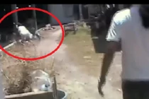 Gái trẻ cưỡi xe máy... đâm thẳng cột nhà