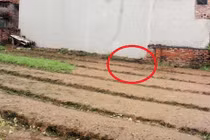 Người nhà nữ điều dưỡng bỏ con mới sinh sốc nặng