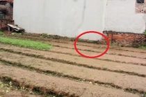 Người nhà nữ điều dưỡng bỏ con mới sinh sốc nặng