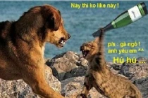 Khi động vật tỏ ra “nguy hiểm” (P2)