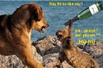 Khi động vật tỏ ra “nguy hiểm” (P2)