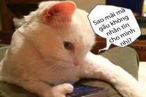 Ảnh cười Facebook: Chờ đợi một tin nhắn