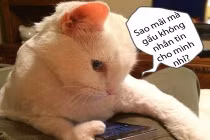 Ảnh cười Facebook: Chờ đợi một tin nhắn