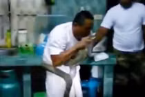 Người dân hoảng hốt vì rắn hổ mang chui vào bếp