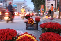 Bán hoa tràn xuống lòng đường vẫy khách