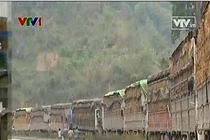 Xót xa khi dân lại có một mùa dưa hấu… đắng