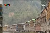 Xót xa khi dân lại có một mùa dưa hấu… đắng