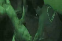 Nguyên nhân “công nghệ” bơm nước vào gia súc diễn biến phức tạp