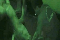 Nguyên nhân “công nghệ” bơm nước vào gia súc diễn biến phức tạp