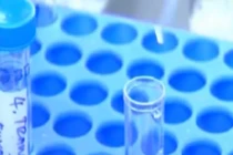 Lần đầu tiên mang thai hộ được đưa vào văn bản luật