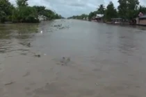 Hậu Giang thiệt hại vì hoàn lưu bão số 3 và triều cường