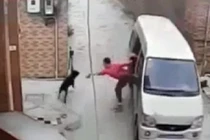 Đánh ô tô 7 chỗ đi trộm chó