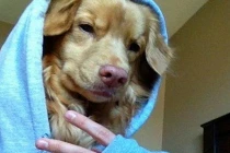 Động vật cũng biết “tự sướng“