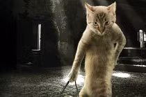 Những chú mèo “đa phong cách“