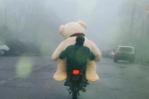 Những khoảnh khắc siêu hài hước (40)