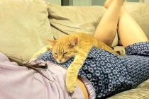 Khoảnh khắc siêu cute của những chú mèo