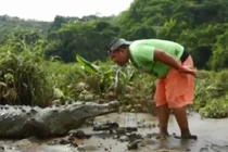 Nam thanh niên lấy mồm mớm thức ăn cho cá sấu