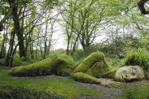 Các công trình làm vườn sáng tạo tuyệt đẹp