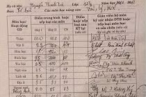 Loạt bảng điểm cao ngất ngưởng khiến dân mạng thán phục