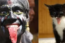 Khoảnh khắc con người giống... động vật như tạc