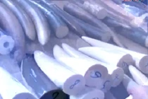 113 Online 11/6: 110 kg ngà voi tuồn vào Việt Nam