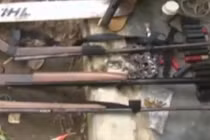 Động vật hoang dã bị truy lùng bằng súng săn hiện đại