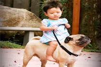 Chùm ảnh ngộ nghĩnh trẻ thơ siêu hài hước