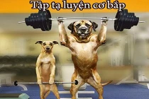 Giây phút “nguy hiểm” của động vật (31)