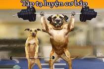 Giây phút “nguy hiểm” của động vật (31)