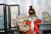 Khoảnh khắc dễ thương của động vật (3)