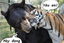 Khi động vật tỏ ra “nguy hiểm” (P10)