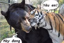 Khi động vật tỏ ra “nguy hiểm” (P10)