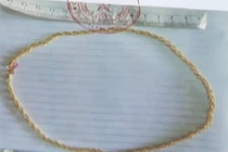 63 tuổi vẫn đi trộm vàng