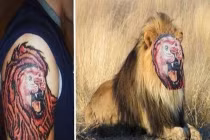 Phì cười với hình xăm “hổ, báo” của dân chơi