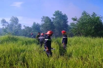 Cháy lớn rừng bạch đàn gần sân bay Đà Nẵng