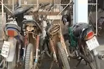 Cận cảnh hung thần chở gỗ lậu ở Khánh Hòa