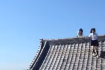 Choáng với màn leo tường như Ninja của nữ sinh Nhật Bản