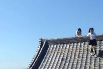 Choáng với màn leo tường như Ninja của nữ sinh Nhật Bản