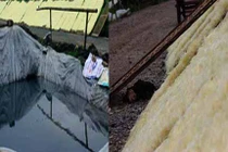 Nôn ọe miến ăn hàng ngày phơi cạnh hố phân... ruồi bu đầy