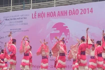 Múa Nhật đặc sắc trong Lễ hội hoa anh đào 2014