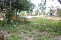 Tìm ra chân tướng rắn thần báo oán ở Đà Nẵng (!)