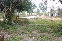 Tìm ra chân tướng rắn thần báo oán ở Đà Nẵng (!)