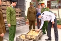 Nguy cơ cúm A/H5N6 lan rộng ra cả nước 