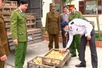 Nguy cơ cúm A/H5N6 lan rộng ra cả nước 