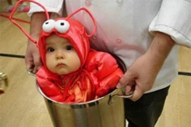 Chộp khoảnh khắc hài hước trong cuộc sống (56)