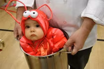 Chộp khoảnh khắc hài hước trong cuộc sống (56)