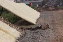 Làng miến “bẩn” Hà Nội: xài hóa chất đổi màu, chỉ bán... không ăn